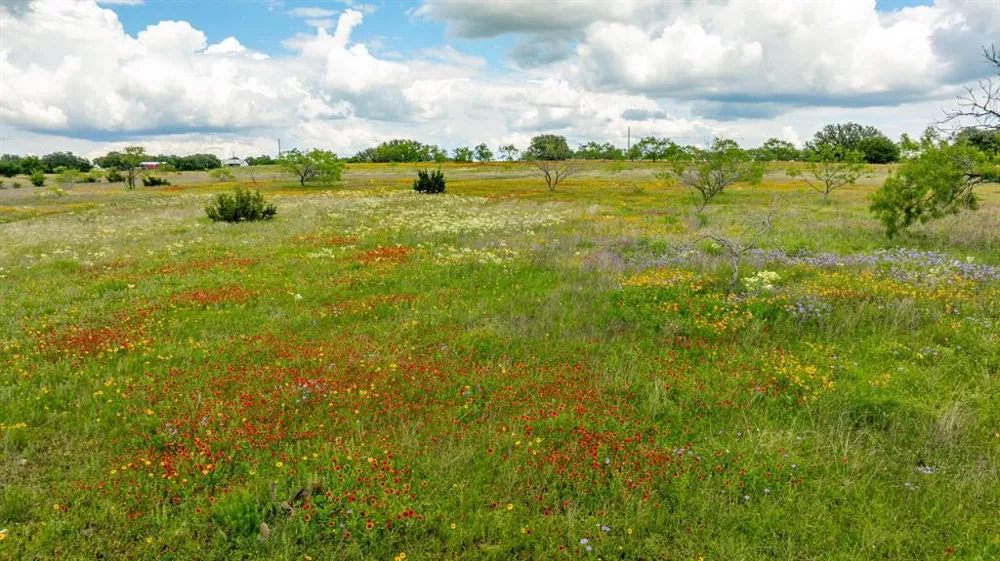 County Road 277 Dublin, TX 76446