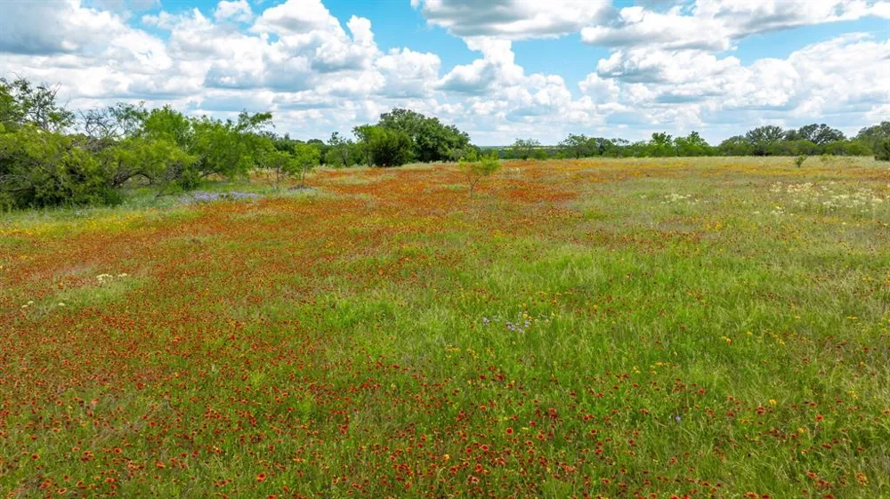 County Road 277 Dublin, TX 76446