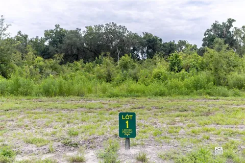 1480 OXFORD PRESERVE TRL