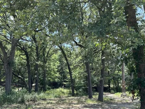 9411 Pinewood Drive