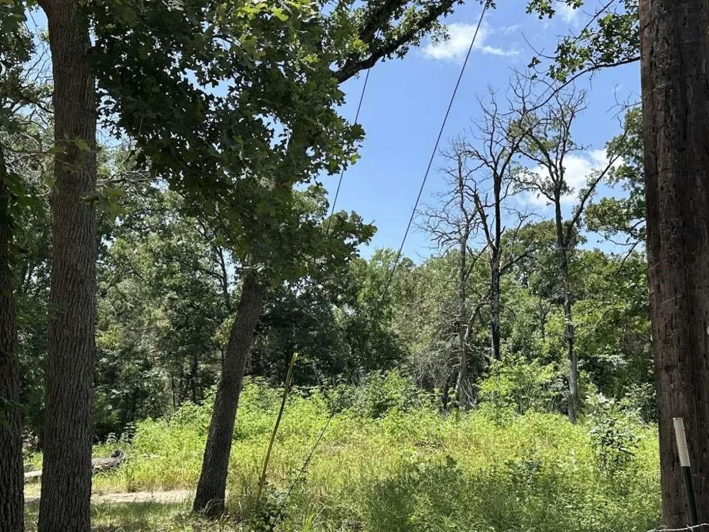 9411 Pinewood Drive Hawk Cove, TX 75474
