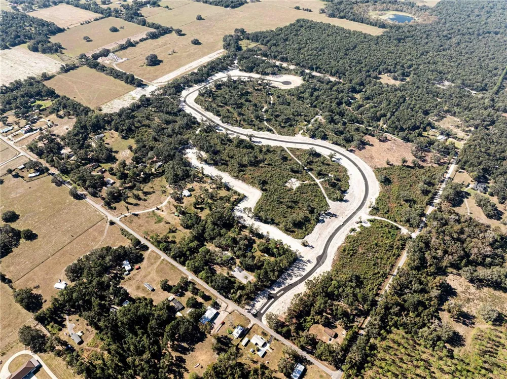 1459 OXFORD PRESERVE TRL Oxford, FL 34484