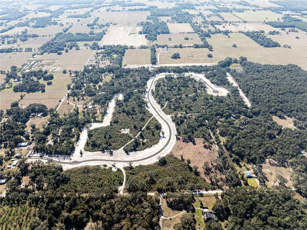 1459 OXFORD PRESERVE TRL Oxford, FL 34484