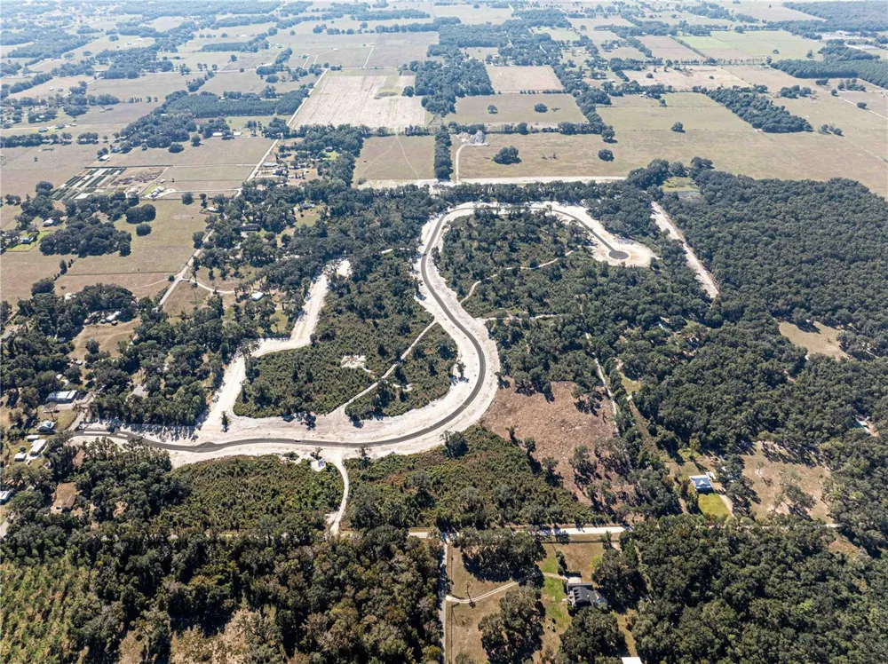 1459 OXFORD PRESERVE TRL Oxford, FL 34484