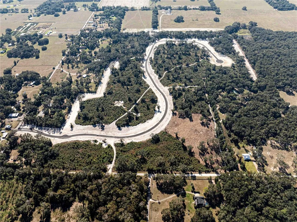 1459 OXFORD PRESERVE TRL Oxford, FL 34484