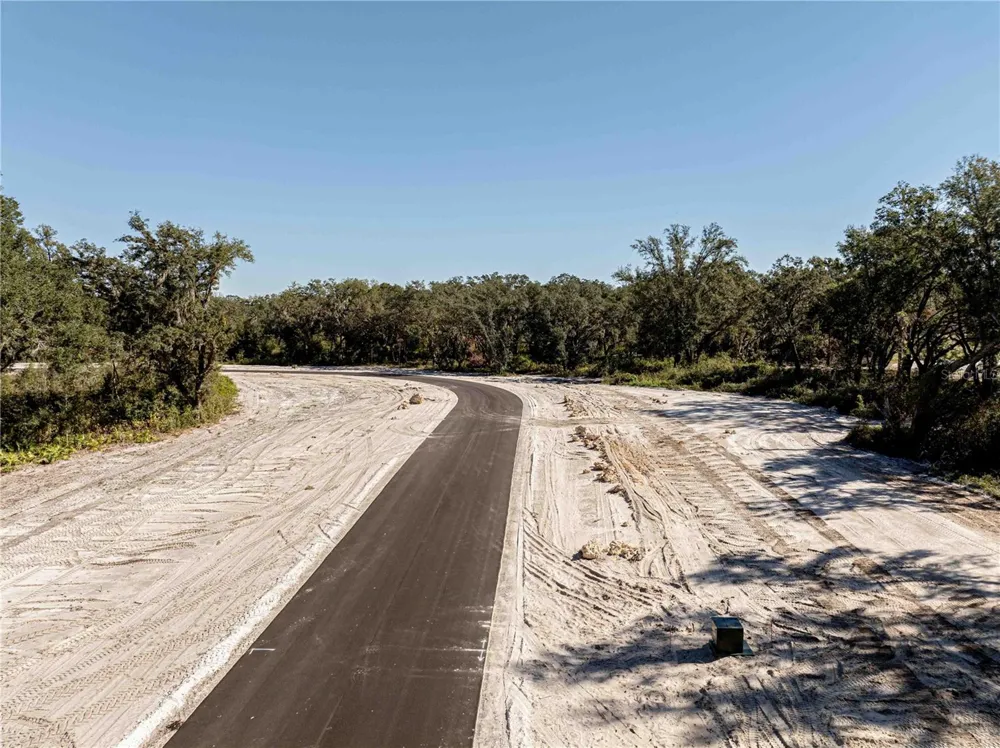 1459 OXFORD PRESERVE TRL Oxford, FL 34484