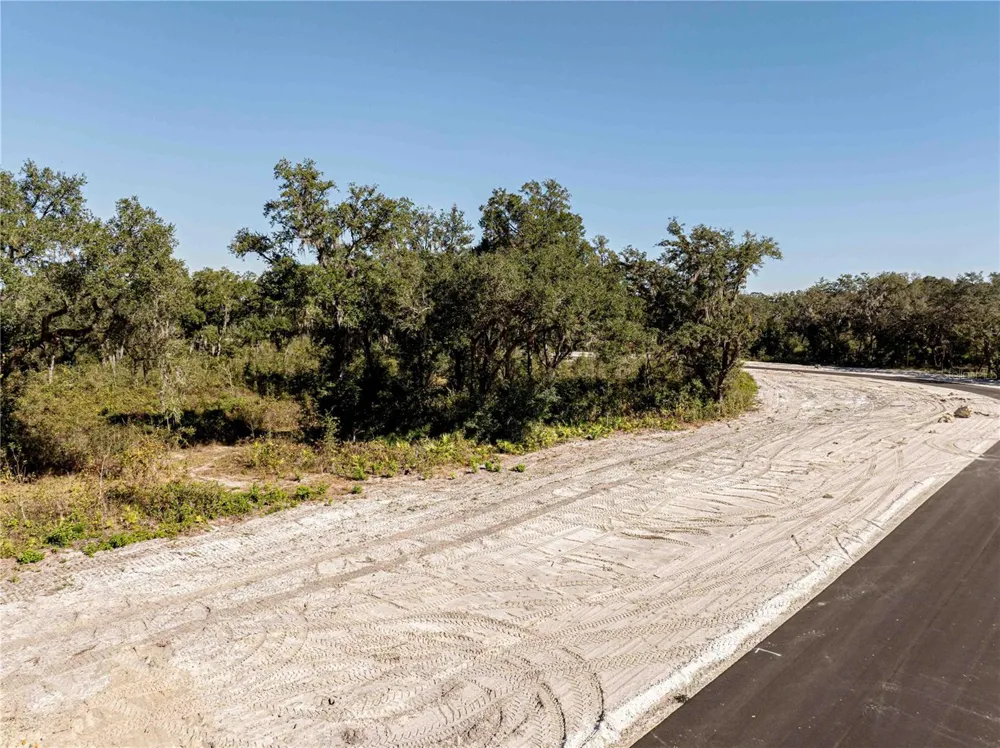 1459 OXFORD PRESERVE TRL Oxford, FL 34484