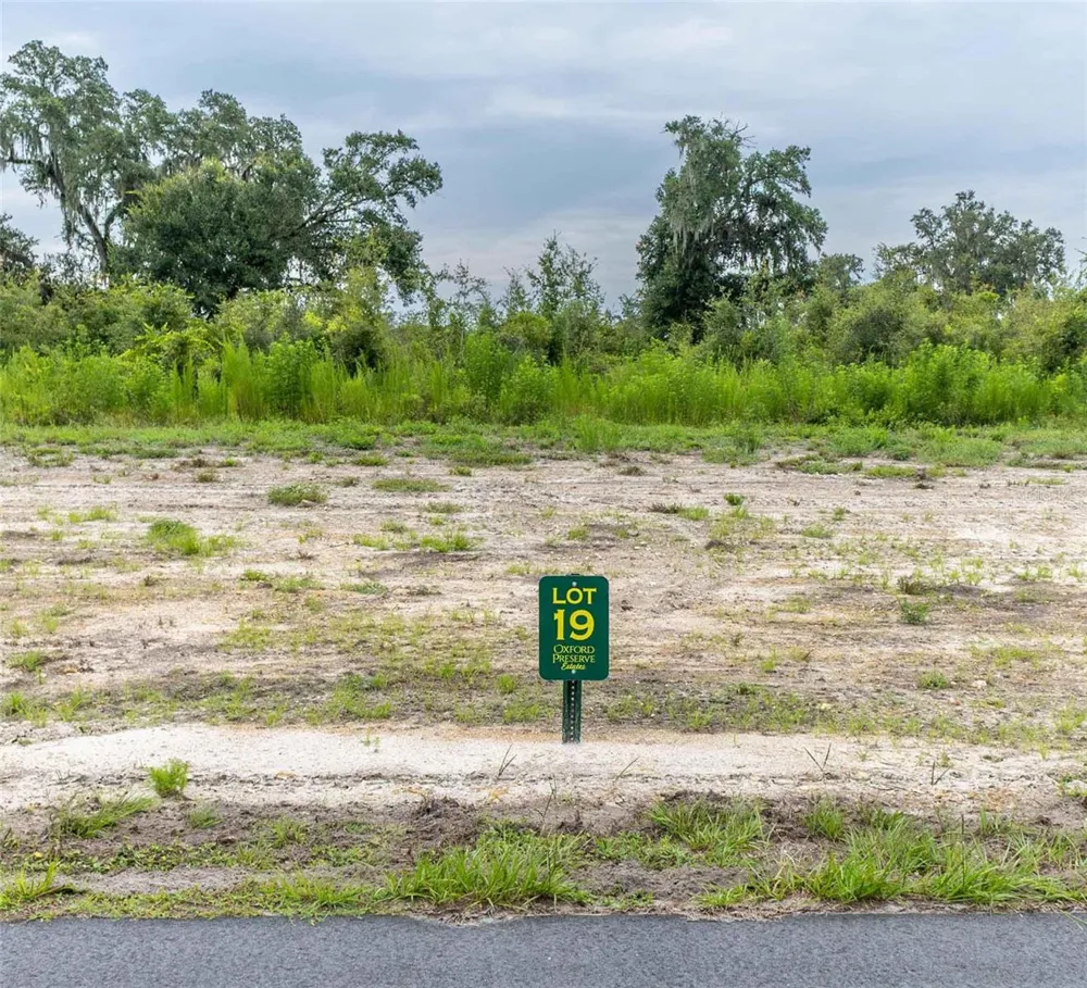 1459 OXFORD PRESERVE TRL Oxford, FL 34484