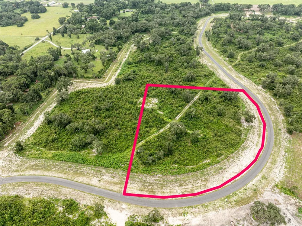 1459 OXFORD PRESERVE TRL Oxford, FL 34484