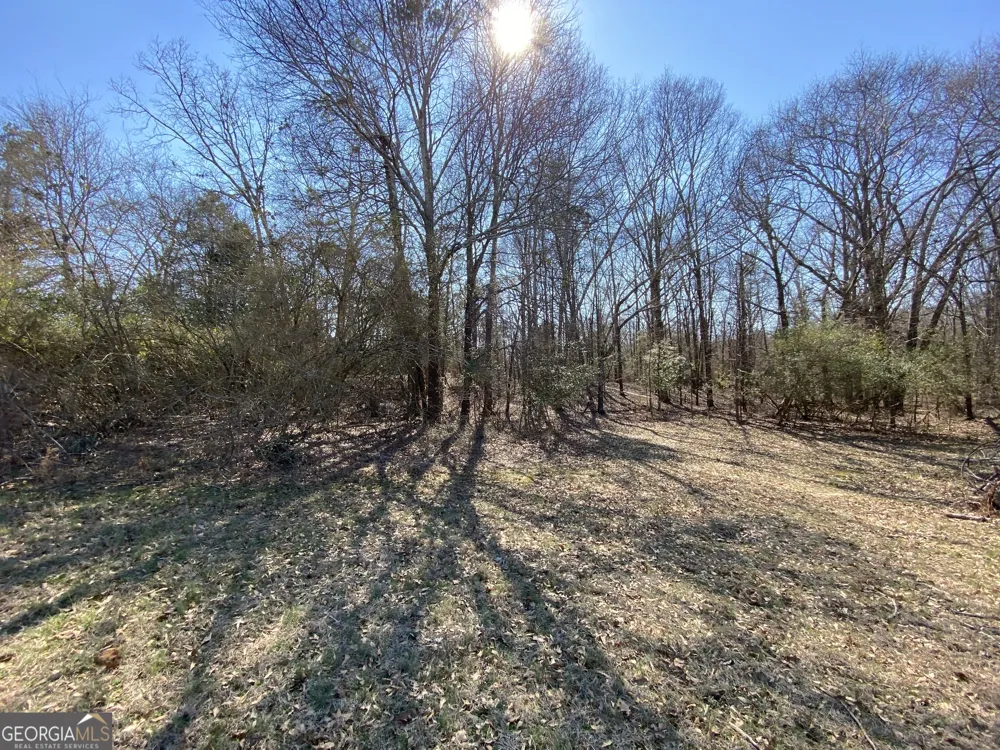 LOT 4 Majestic Shores RD Hartwell, GA 30643