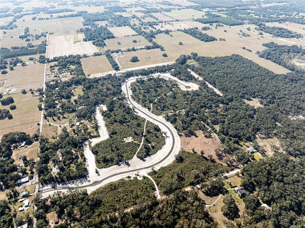 1485 OXFORD PRESERVE TRL Oxford, FL 34484