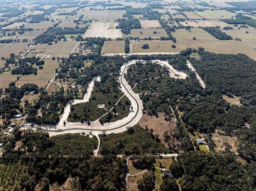 1485 OXFORD PRESERVE TRL Oxford, FL 34484