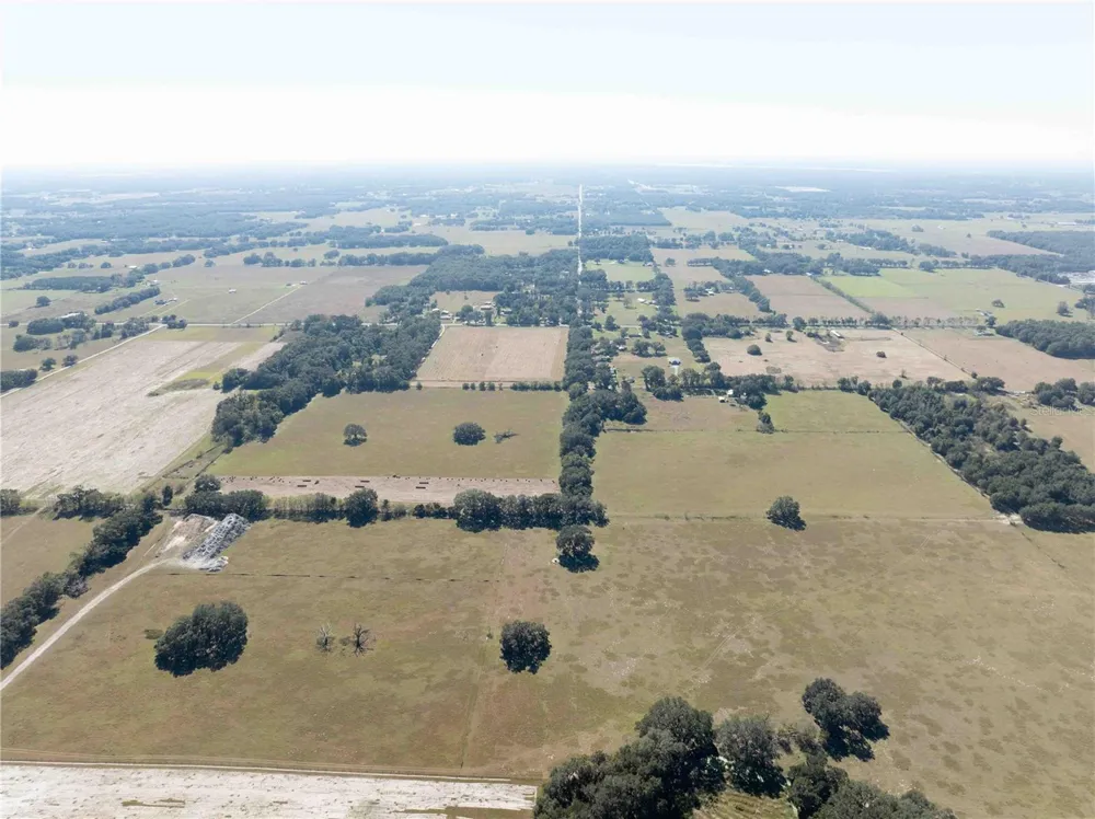 1485 OXFORD PRESERVE TRL Oxford, FL 34484