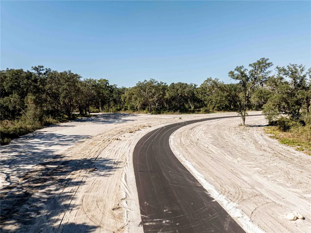1485 OXFORD PRESERVE TRL Oxford, FL 34484