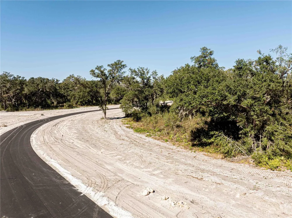 1485 OXFORD PRESERVE TRL Oxford, FL 34484