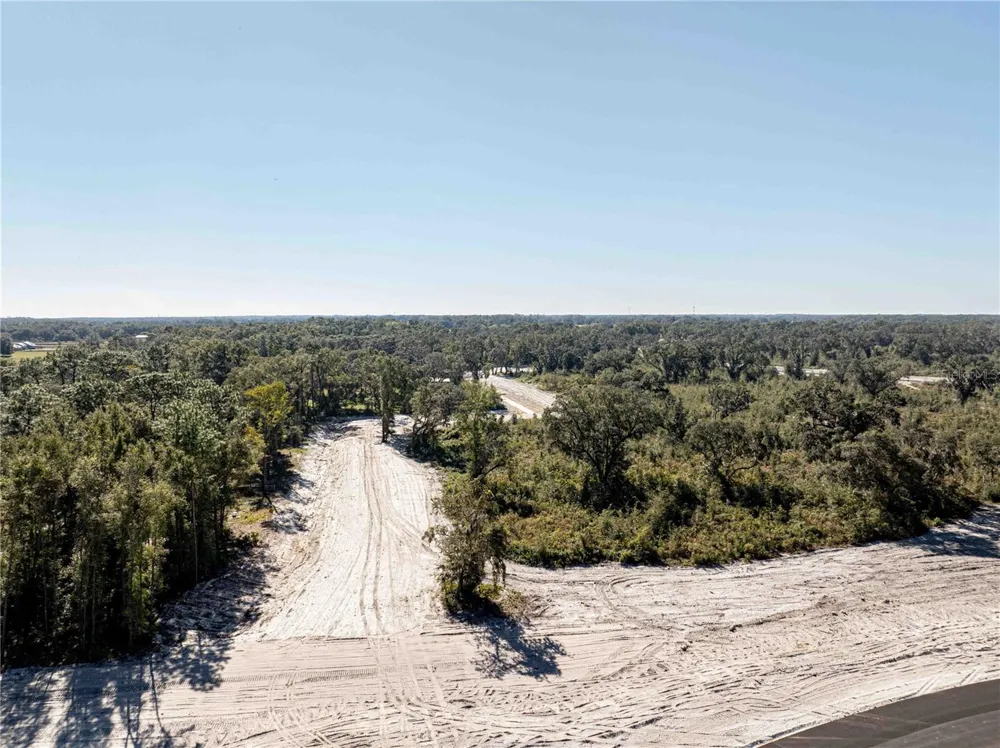 1485 OXFORD PRESERVE TRL Oxford, FL 34484