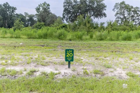 1485 OXFORD PRESERVE TRL