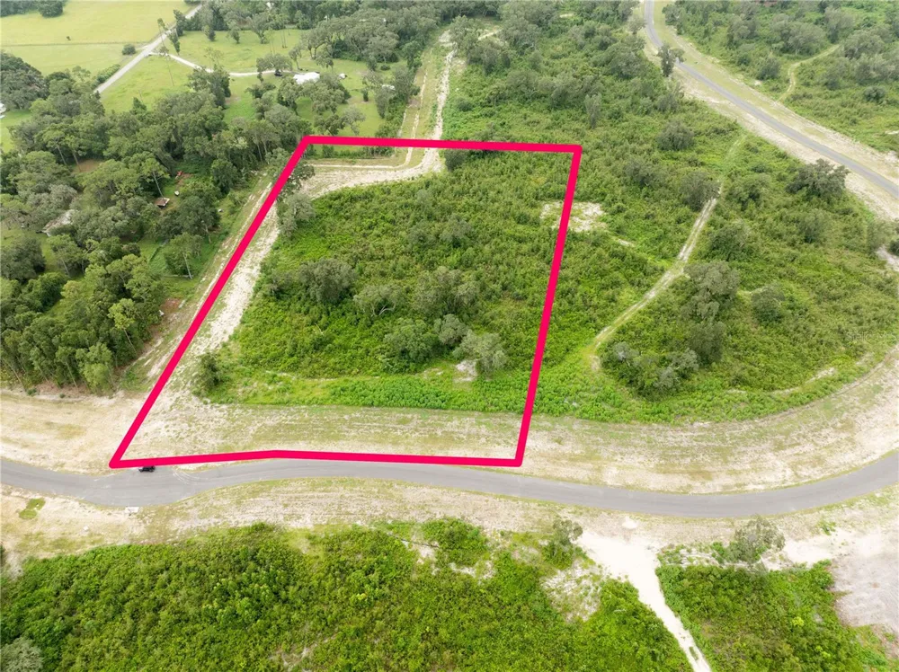 1485 OXFORD PRESERVE TRL Oxford, FL 34484