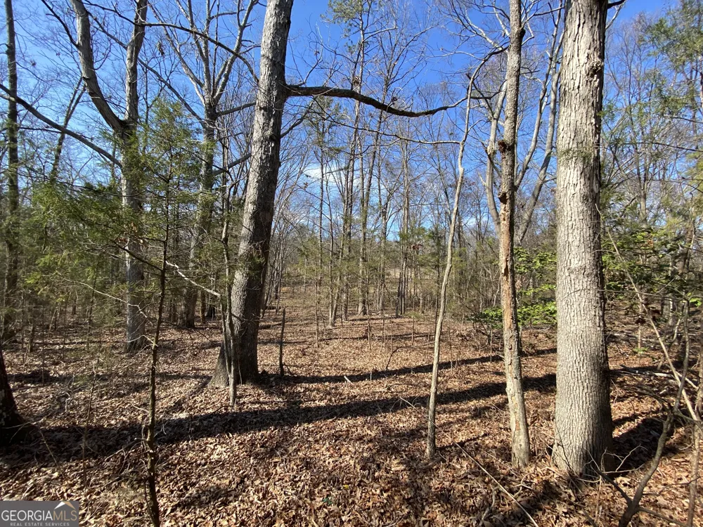 LOT 6 Majestic Shores RD Hartwell, GA 30643