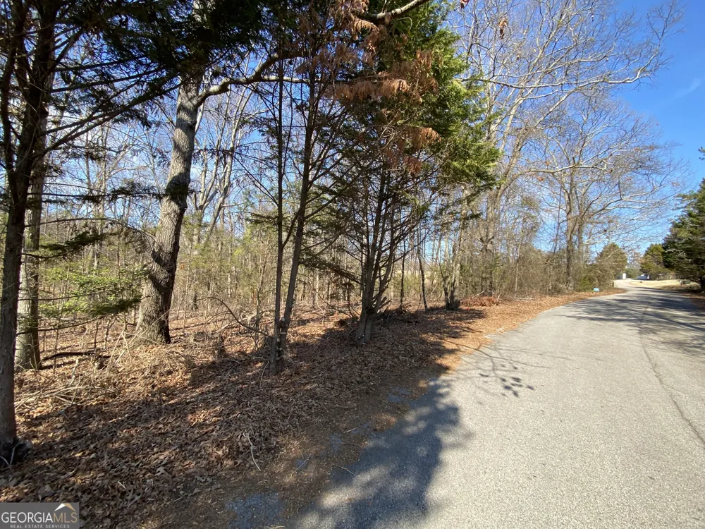 LOT 6 Majestic Shores RD Hartwell, GA 30643