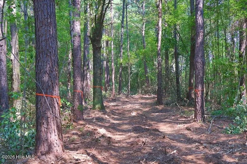 Tbd Kehukee Drive Parkton, NC 28371