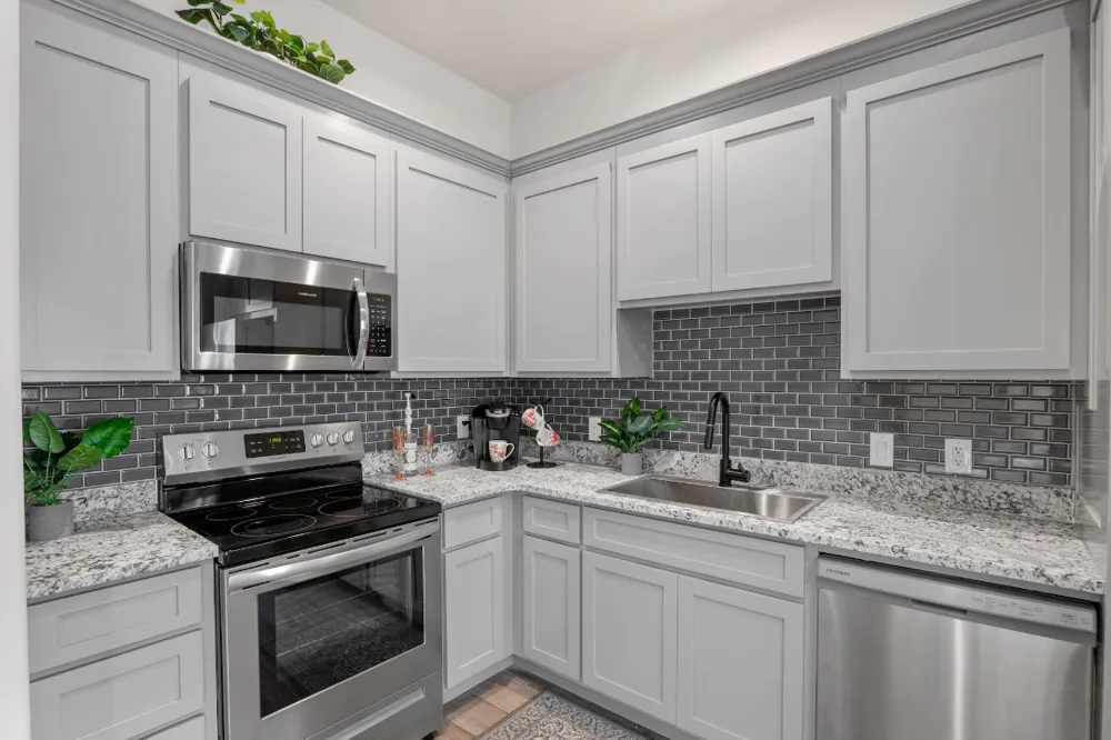 1003 Friendship Lane #301 Fredericksburg, TX 78624
