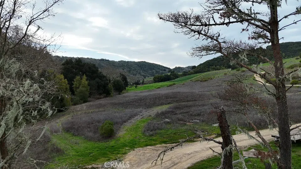5495 Jack Creek Road Templeton, CA 93465