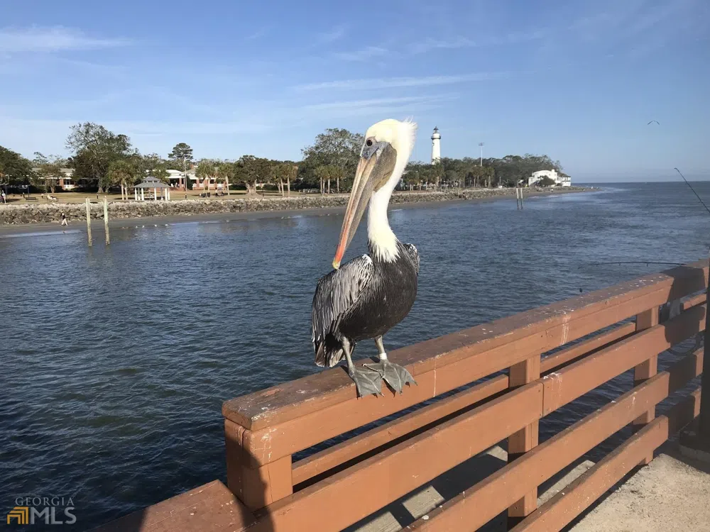1548 Ocean BLVD St. Simons, GA 31522