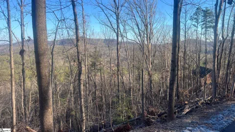 109 Stone Creek Court
