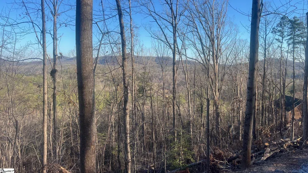 109 Stone Creek Court Pickens, SC 29671
