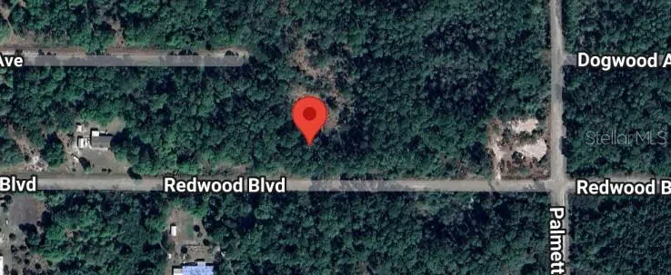 324 REDWOOD BOULEVARD Georgetown, FL 32139