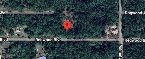 324 REDWOOD BOULEVARD