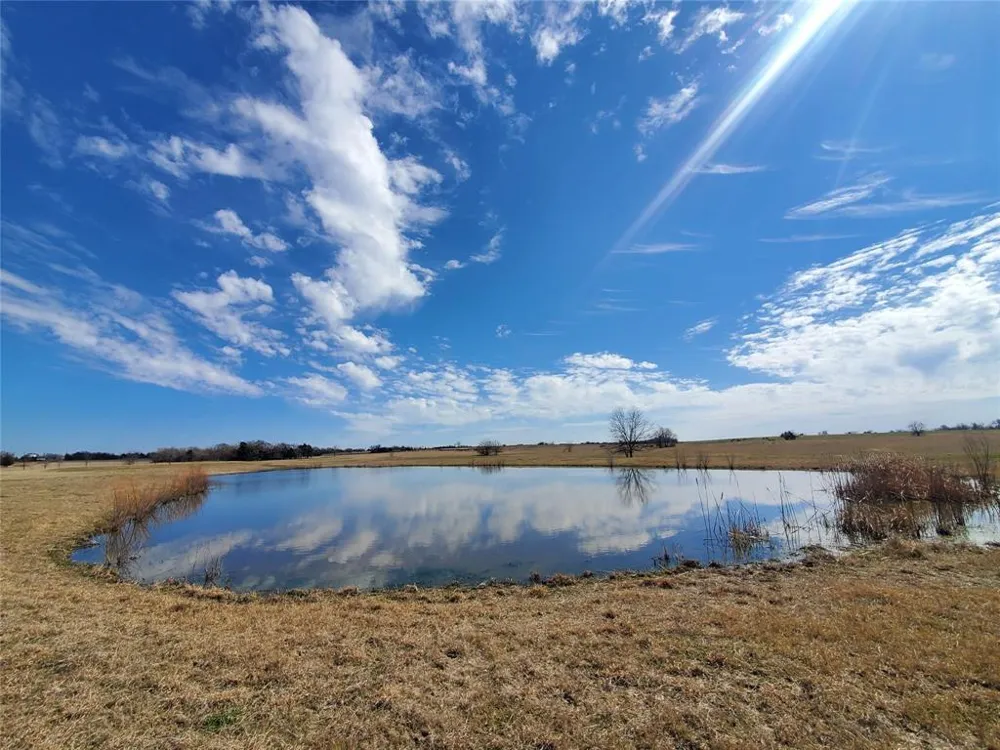 W FM-1566 Celeste, TX 75423