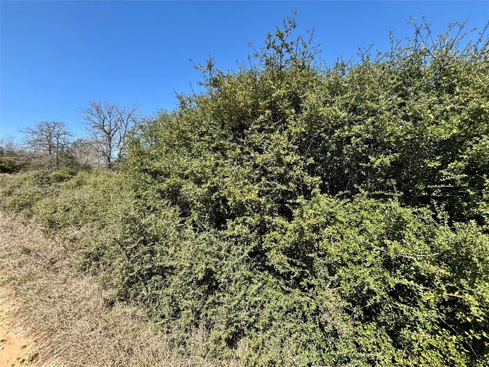 Golfway Normangee, TX 77871
