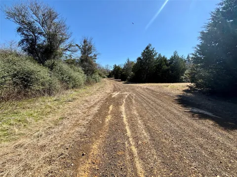 Sycamore Branch Road