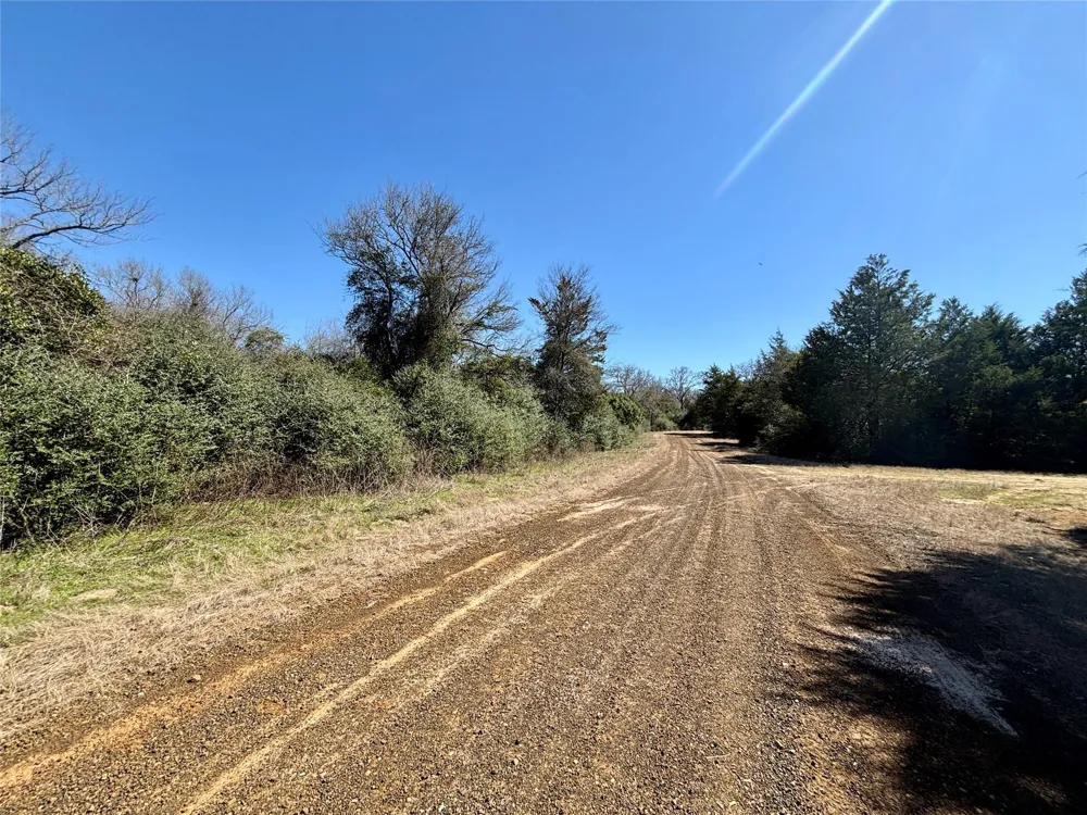 Sycamore Branch Road Normangee, TX 77871