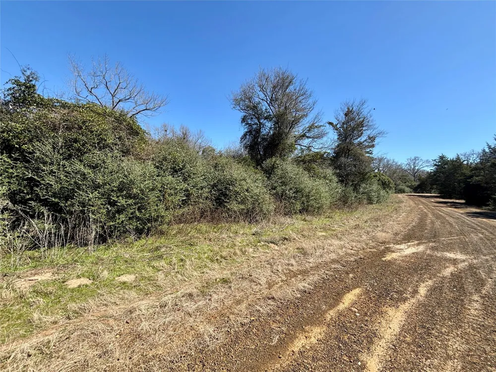 Sycamore Branch Road Normangee, TX 77871