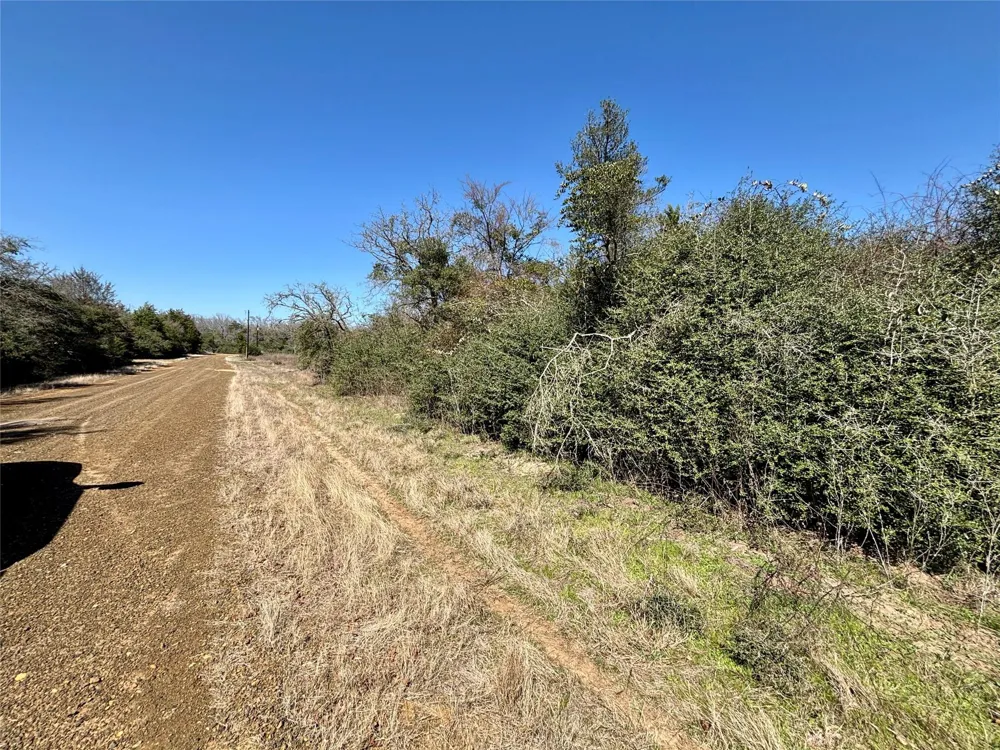 Sycamore Branch Road Normangee, TX 77871