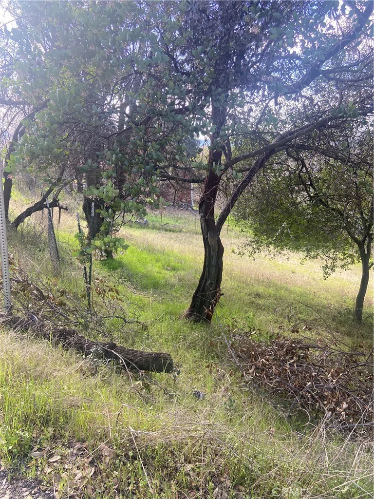 7005 Marin Street Nice, CA 95464