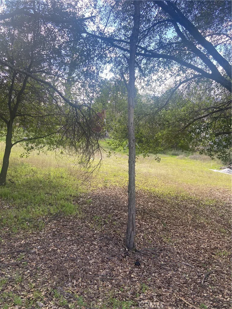 7005 Marin Street Nice, CA 95464