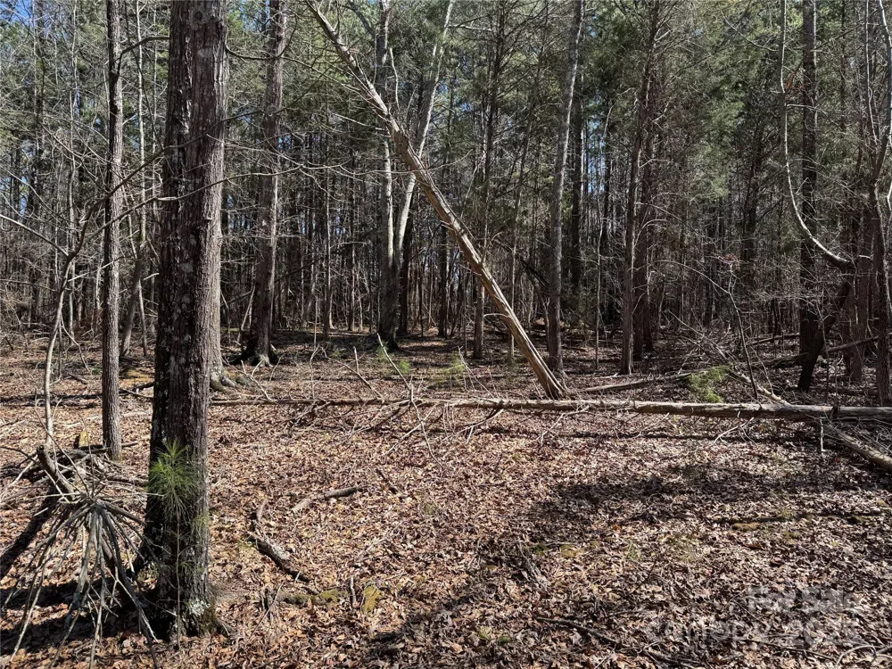 1905 Bechtler Road Edgemoor, SC 29712