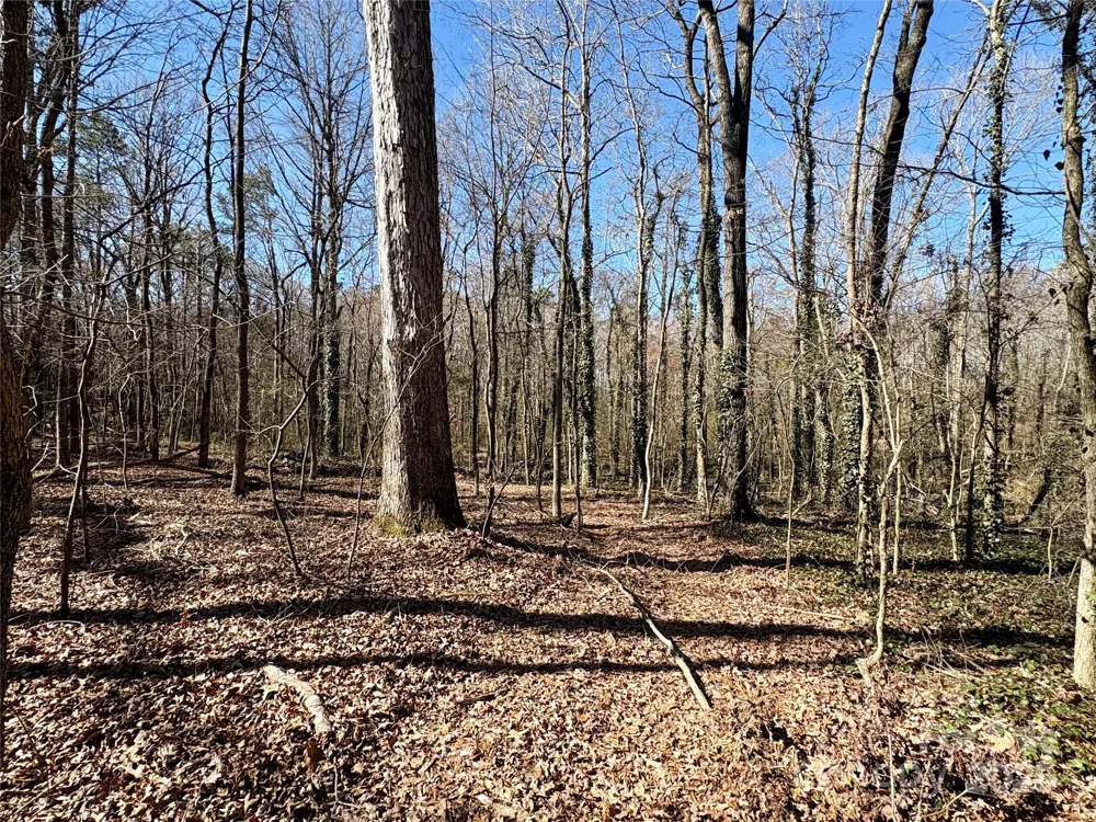 1417 Ellis Griffin Road Wingate, NC 28174
