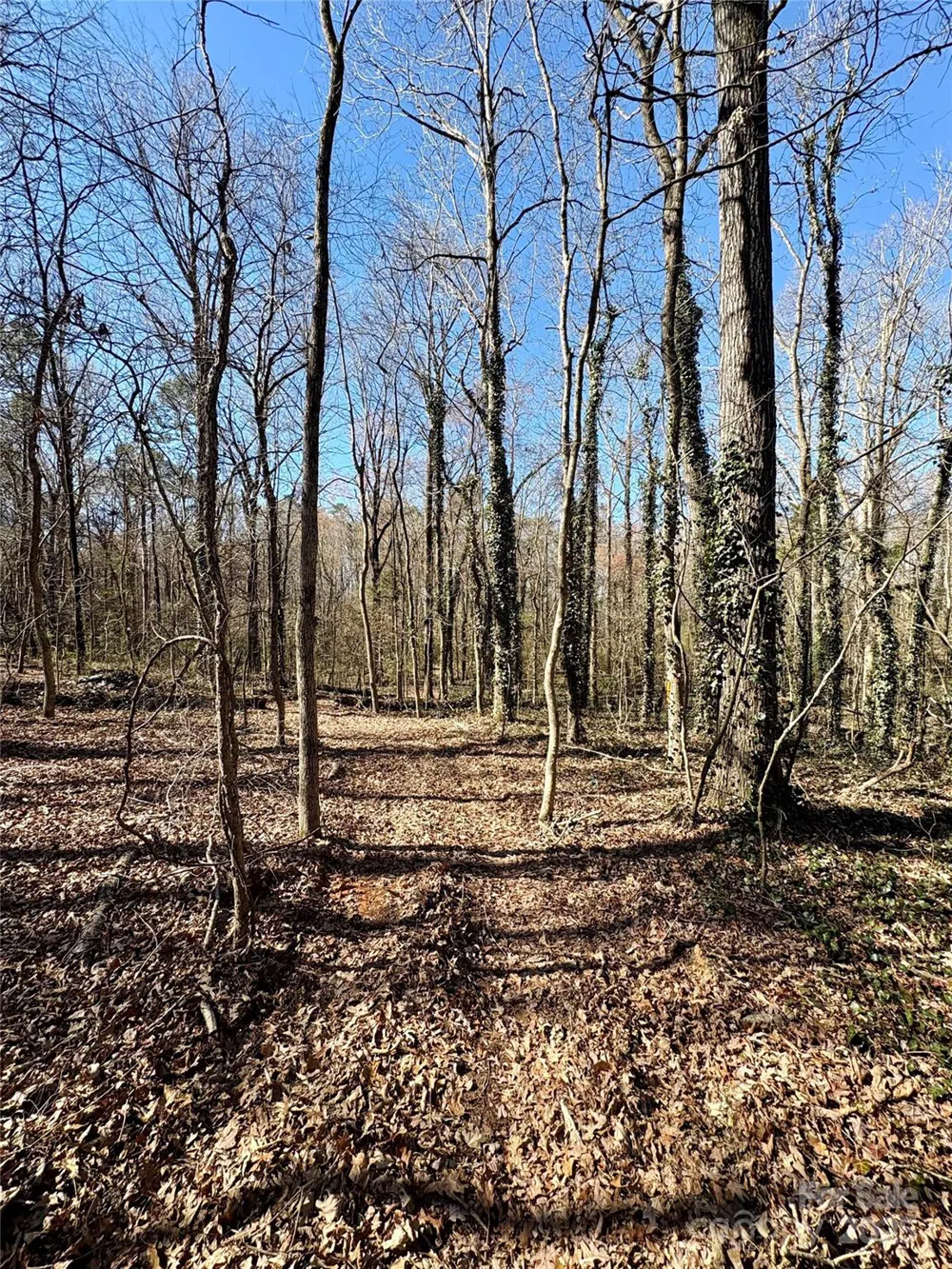 1417 Ellis Griffin Road Wingate, NC 28174