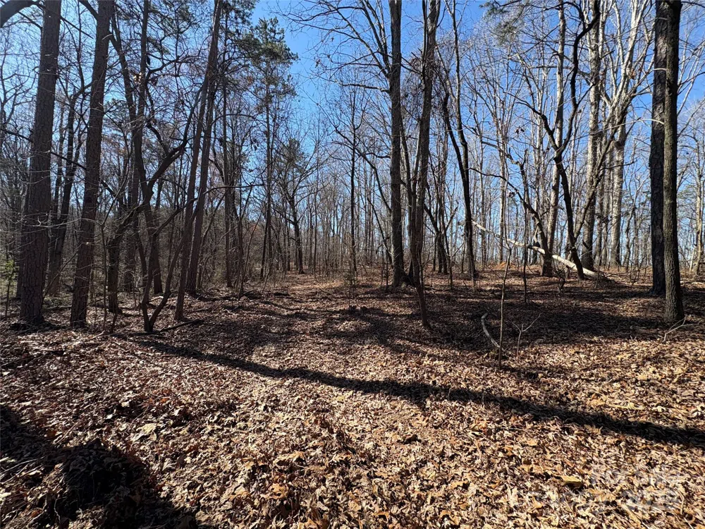 1417 Ellis Griffin Road Wingate, NC 28174