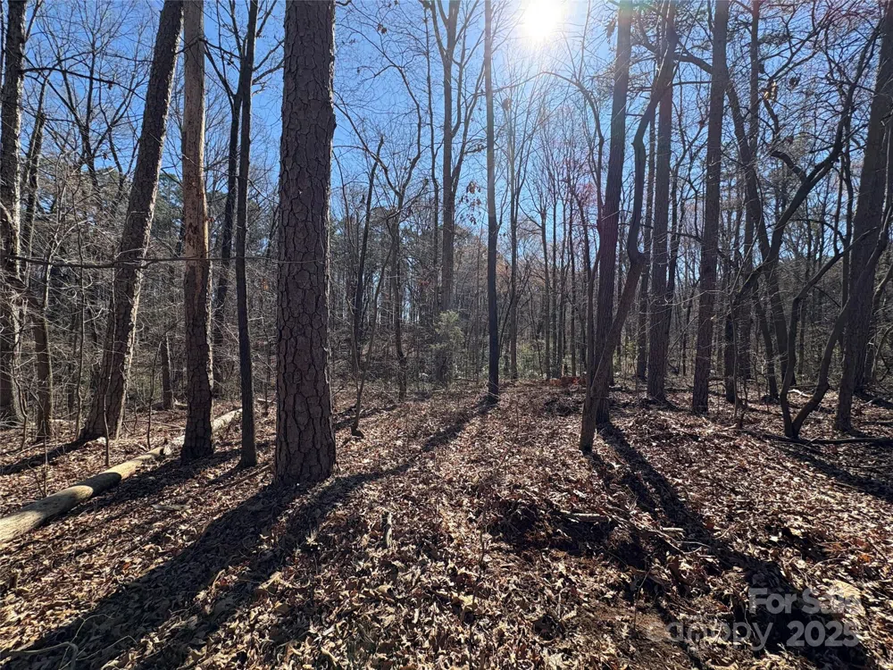 1417 Ellis Griffin Road Wingate, NC 28174