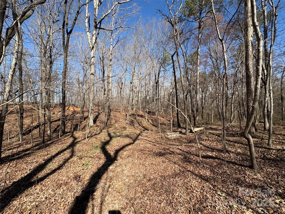 1417 Ellis Griffin Road Wingate, NC 28174
