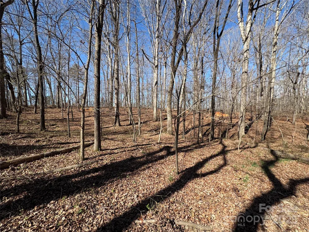 1417 Ellis Griffin Road Wingate, NC 28174