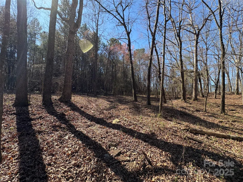 1417 Ellis Griffin Road Wingate, NC 28174