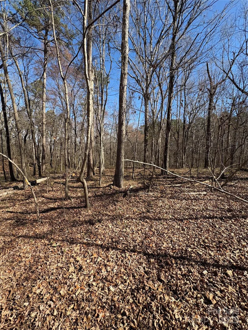 1417 Ellis Griffin Road Wingate, NC 28174