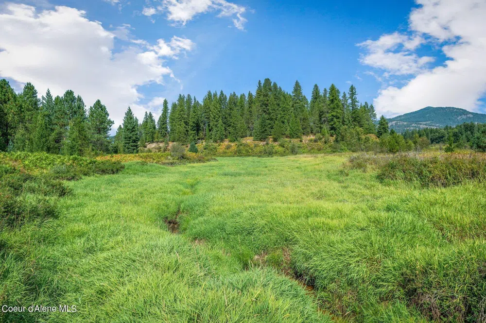 6A Kenny Lane Priest River, ID 83856